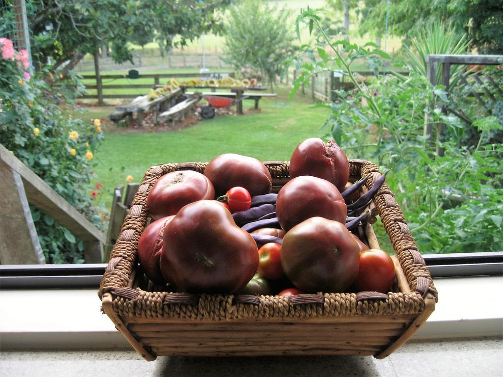 Miranda Orchard Cottage Exteriör bild