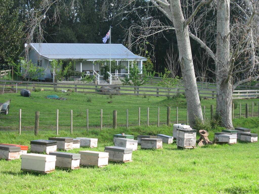 Miranda Orchard Cottage Exteriör bild